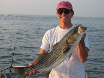 Striped Bass caught out of Rockport MA